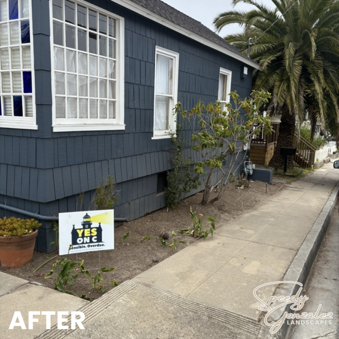 BLUE HOUSE AFTER