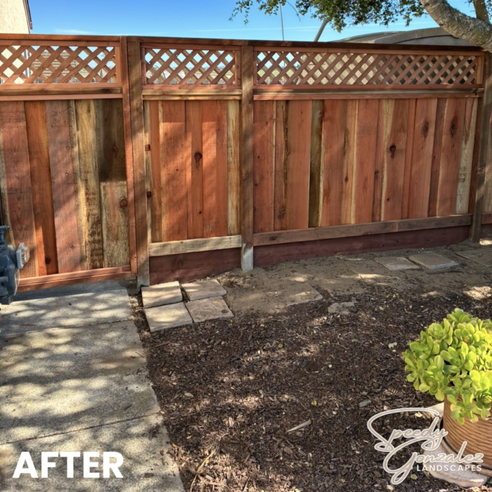 FENCE AFTER