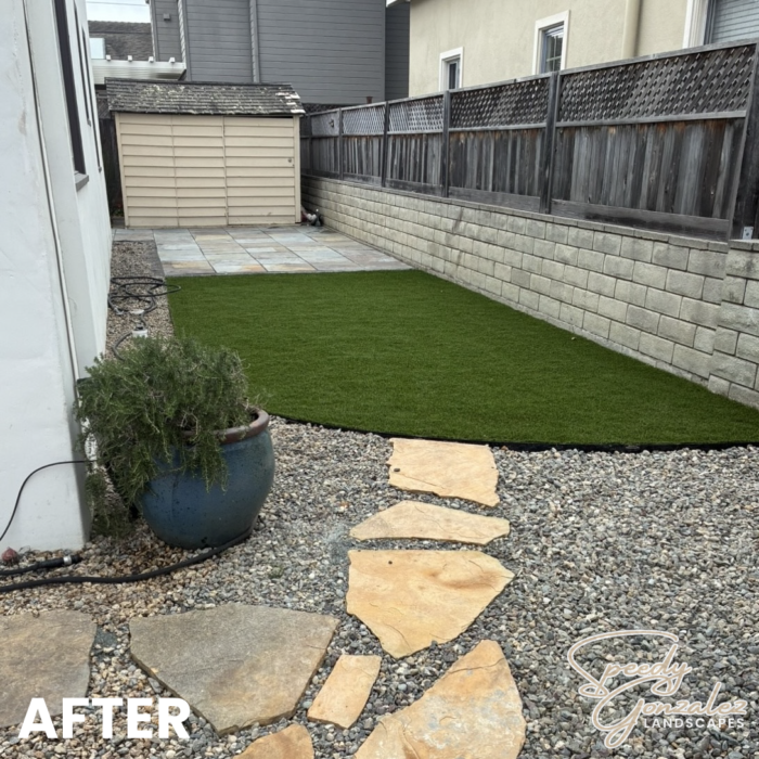 TURF AFTER