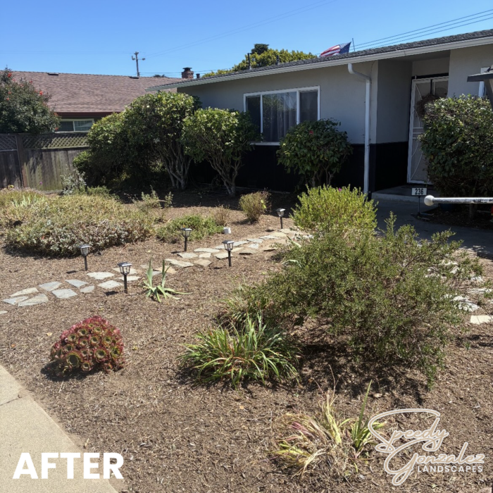 YARD 1 AFTER