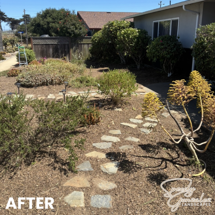 YARD 2 AFTER